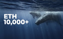 Number of Whales with 10,000+ ETH Hits 1-Year High As ETH Inches Closer to Its 2018 ATH